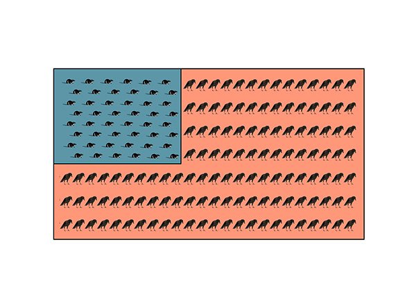 Bandera 1